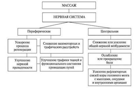 Механизм воздействия ржаных отрубей на организм: ключевые моменты