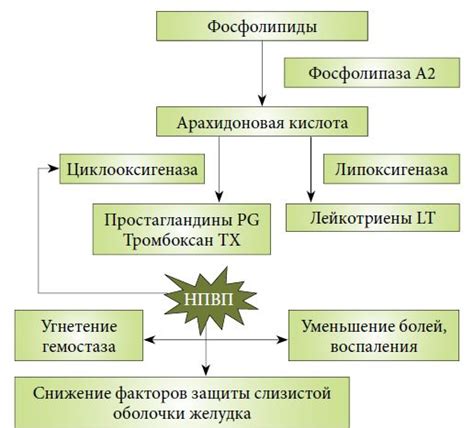 Механизм действия и показания для применения