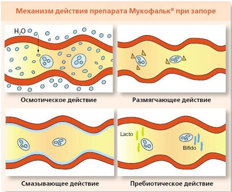 Механизм действия препарата при нарушении стула