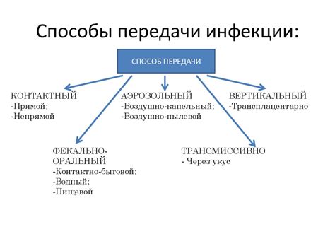 Механизм передачи возбудителя вирусной инфекции от животного к человеку