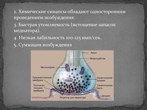 Механизм передачи информации от близкого человека во время сновидения