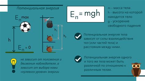 Механическая энергия в организмах: неоценимый источник жизненной активности