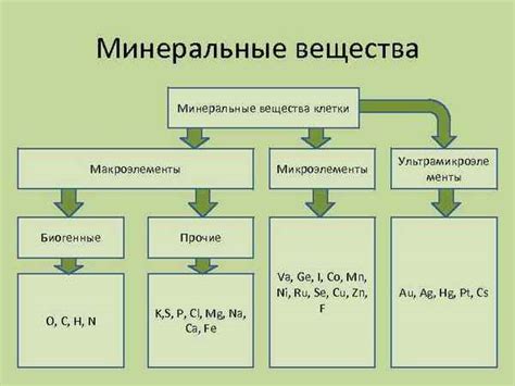 Минеральные удобрения: состав и их вклад в жизненные процессы растений