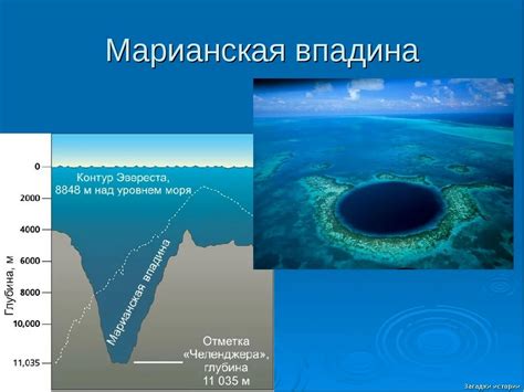 Мировые рекорды Марианской впадины: уникальная экосистема и предметы глубинного мира