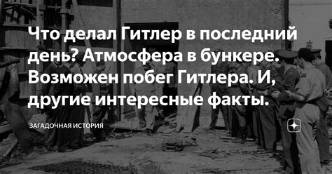 Миссия Гитлера в Калининграде: загадочная история