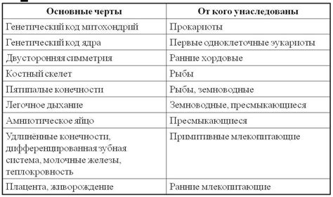 Млекопитающие и птицы: перекрестные сходства и отличия