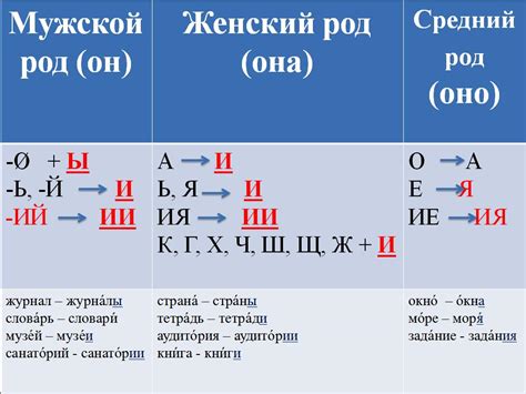 Многообразие форм множественного числа в русском языке