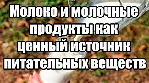 Молоко: ценный источник питательных веществ