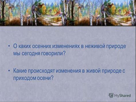 Момент для изменения обитель ирисок в осенних условиях