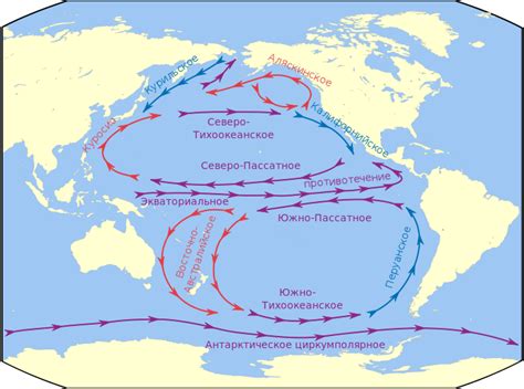 Морские глубины Тихого океана: особенности