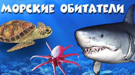 Морские находки: загадочный мир океанов