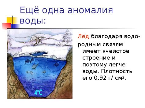 Морские эстуарии: слияние пресной и соленой воды