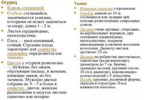 Морфологические особенности различных языков: уникальные черты и разнообразие