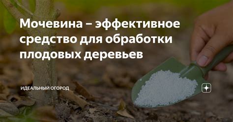 Мочевина как эффективное питательное вещество для растений