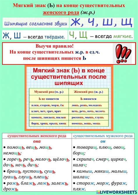 Мягкий знак в роли индикатора рода, числа и падежа в существительных и прилагательных