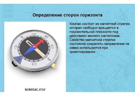 Навигация в лесу: эффективное использование компаса и ориентация по положению полярной звезды