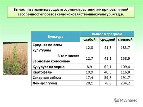 Назначение вики яровой в смешанных посевах