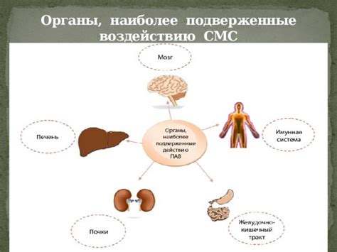 Наиболее подверженные опасному заражению продукты
