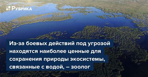 Наиболее ценные экосистемы со множеством видов и их уникальные особенности