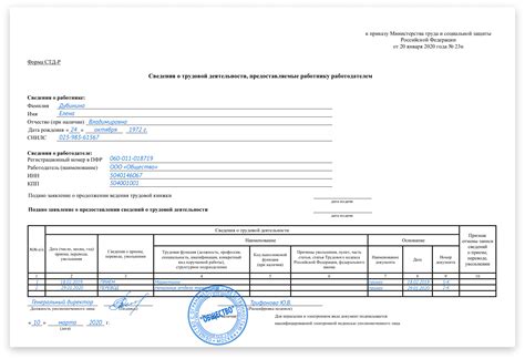 Наименование организации и дополнительная информация о трудовой деятельности