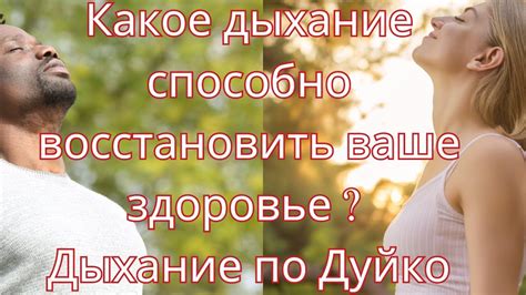 Найдите мастеров, способных восстановить ваше седло