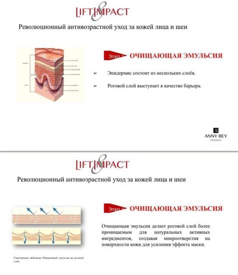 Нанесение основы – первый этап обеспечения надежной гидроизоляции