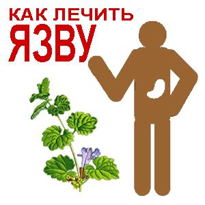 Народные средства от вируса язвы желудка