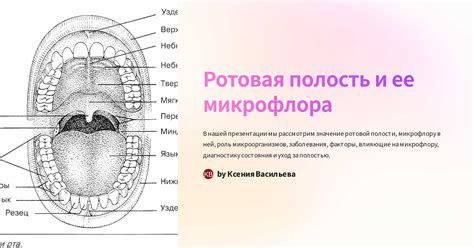 Нарушение баланса микрофлоры носоглотки