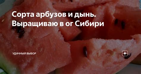 Нарушение баланса питания: влияние введения арбузов и дынь