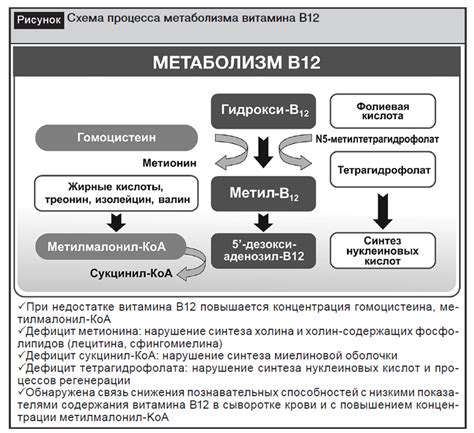 Наследственная предрасположенность и низкий уровень витамина В12