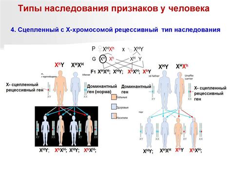 Наследственность и идентичность: значимость передачи информации о развитии их приемной семьей