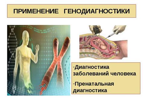 Наследственность таланта: передача способностей по генетической цепочке