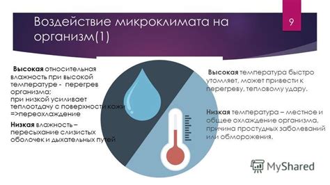 Настоящая причина простудных заболеваний: вирусная активность