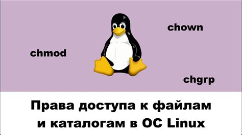 Настройка и установка точки доступа в ОС GNU/Linux