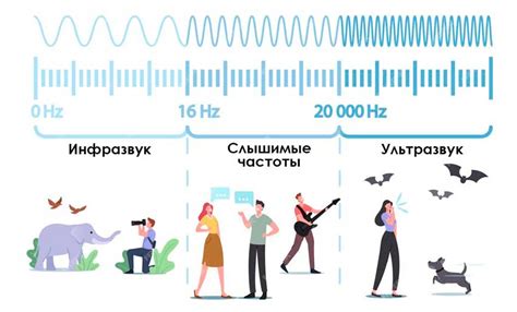 Настройте пропорции звуковых частот: от округлых басов до ясных высоких