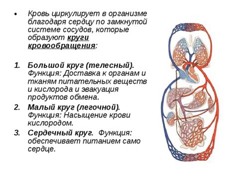 Насыщение воздуха кислородом и активация обмена веществ