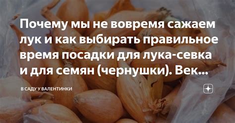 Научитесь выбирать правильное размещение вытяжной системы в ванной