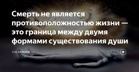 Научные факты: существование пограничной области между смертью и жизнью