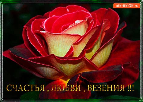 Находка любви и счастья
