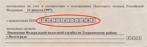 Начало процесса восстановления после потери ИНН: первые шаги