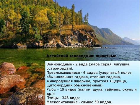 Начало пути: куда отправиться и что разыскивать