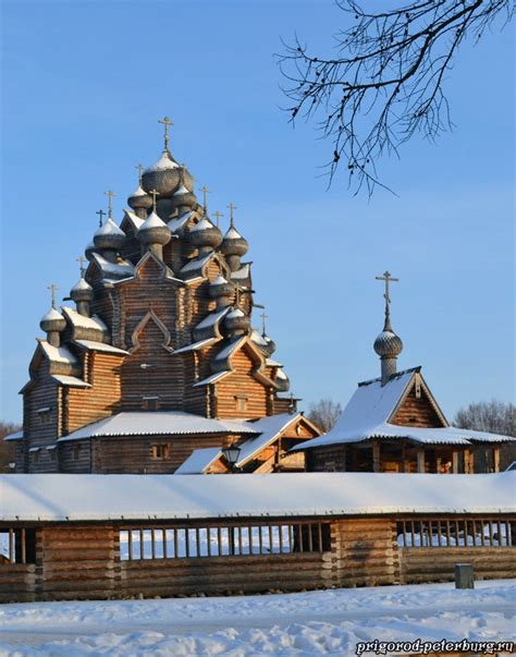 Невский лесопарк: оазис природы в центральной части Северной столицы