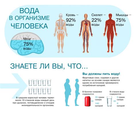 Недостаток жидкости и его воздействие на функционирование кишечника