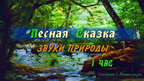 Незабываемая гармония: звуки природы в сопровождении цветов