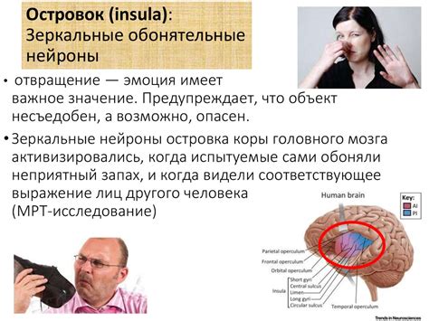 Нейробиологические аспекты сна в условиях сильной бури