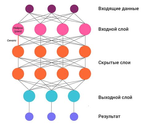 Нейронная сеть для двигательных функций: расположение и роль в первом пространстве