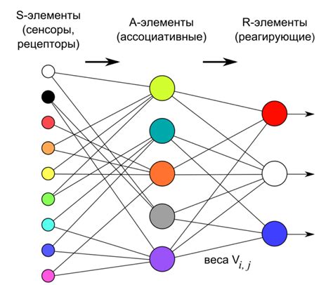 Нейронные механизмы памяти и их взаимосвязь с осознанием