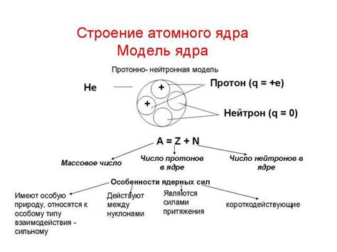 Нейтрон: бесзарядная частица, держащая протоны внутри ядра