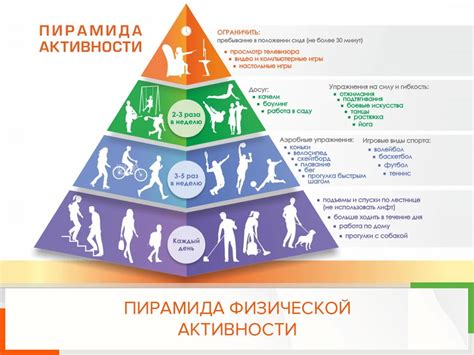 Необходимость активной физической нагрузки и развлечений