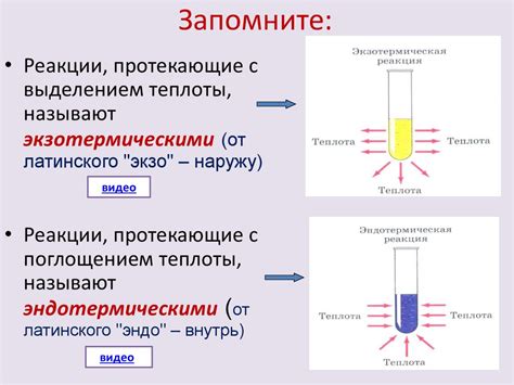 Необходимые принадлежности для беспроблемного протекания окота вашей питомицы